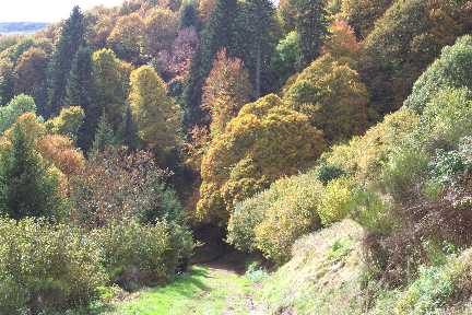 Herbstzeit