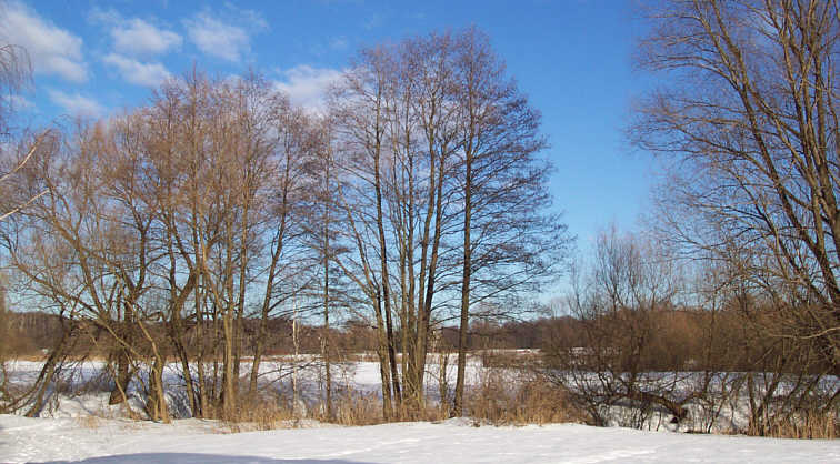 Winterlandschaft