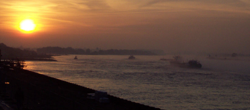 Frühnebel am Rhein